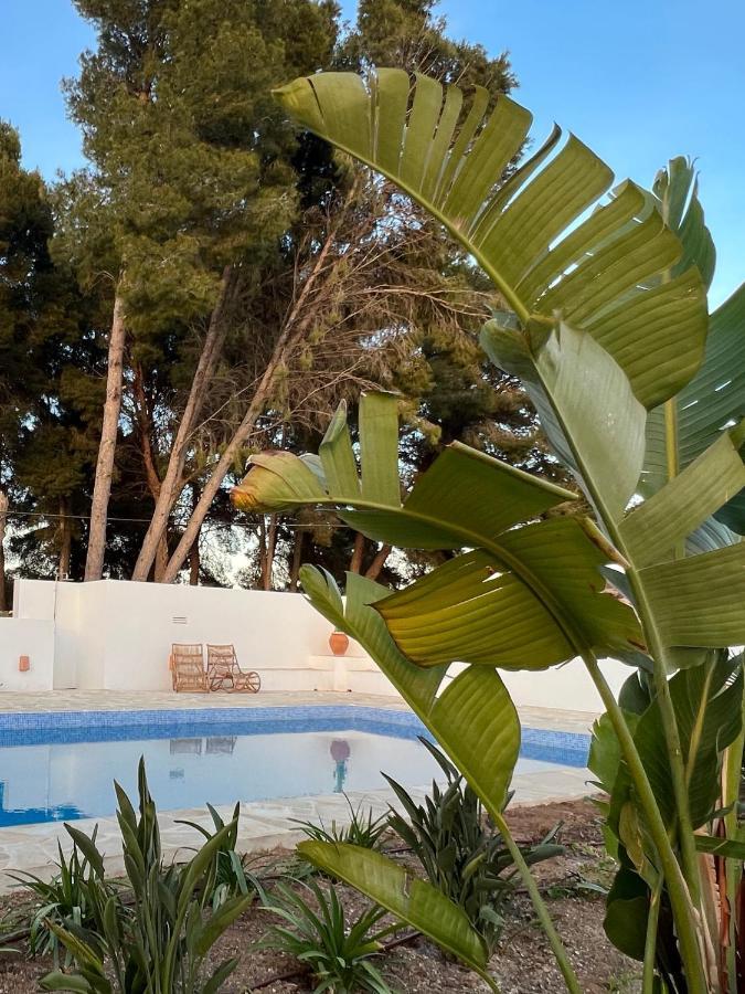 Boutique B&B Casa 381 - Adults Only Хавеа Экстерьер фото